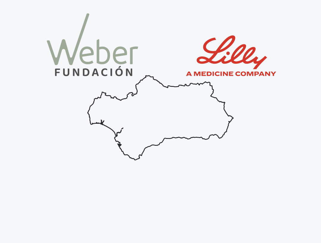 Informe Fundación Weber